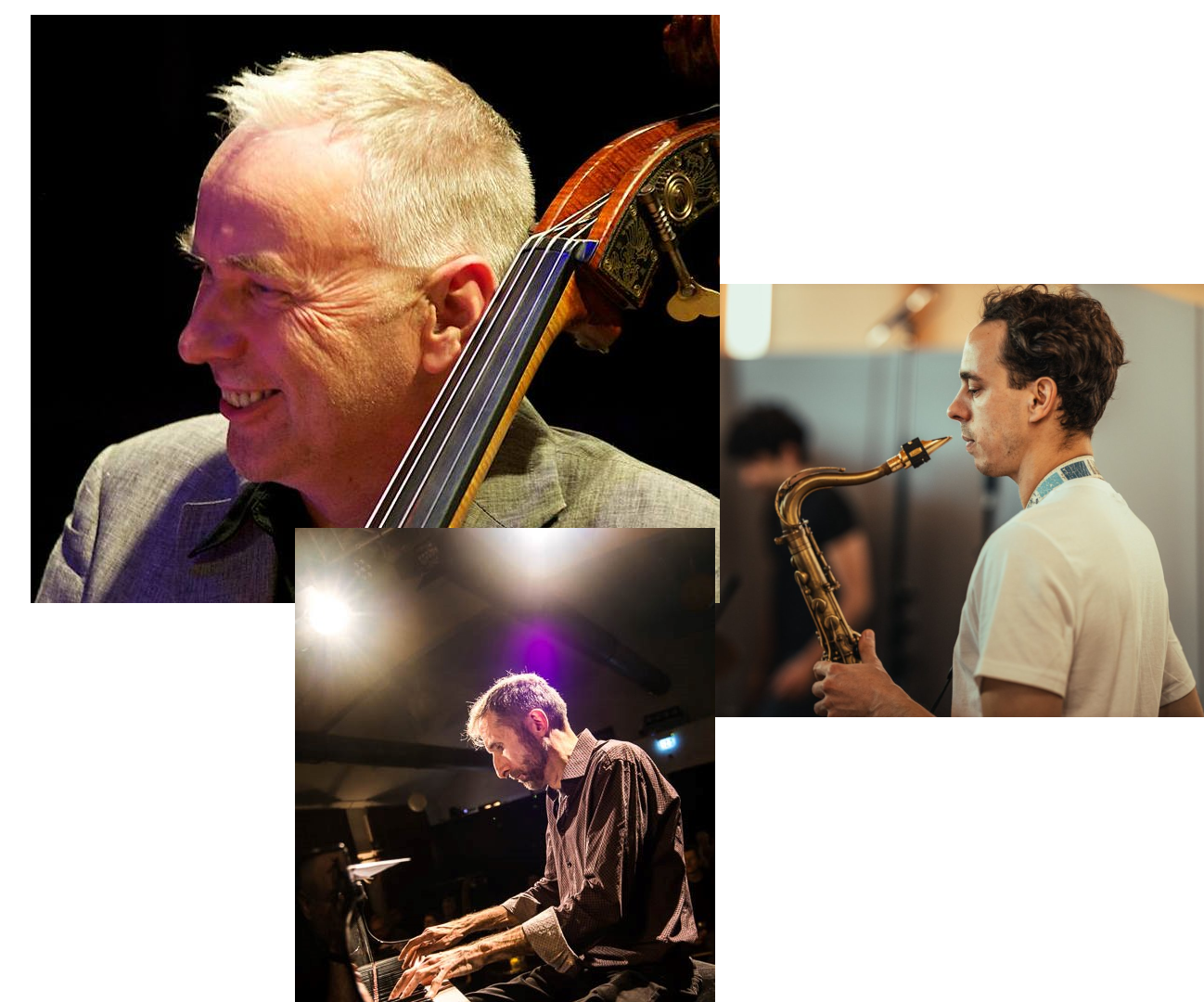 © Martin Lillich, Patricio Böttcher, Matthias Martin